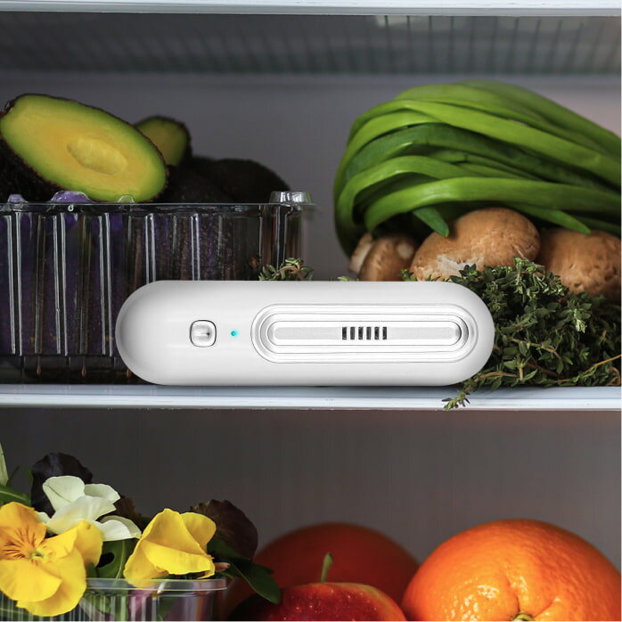 Place Inside Your Fridge